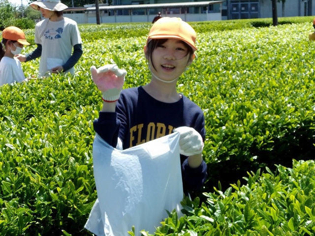 100_0185.jpg