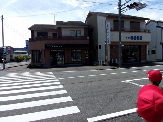 100_0229.jpg