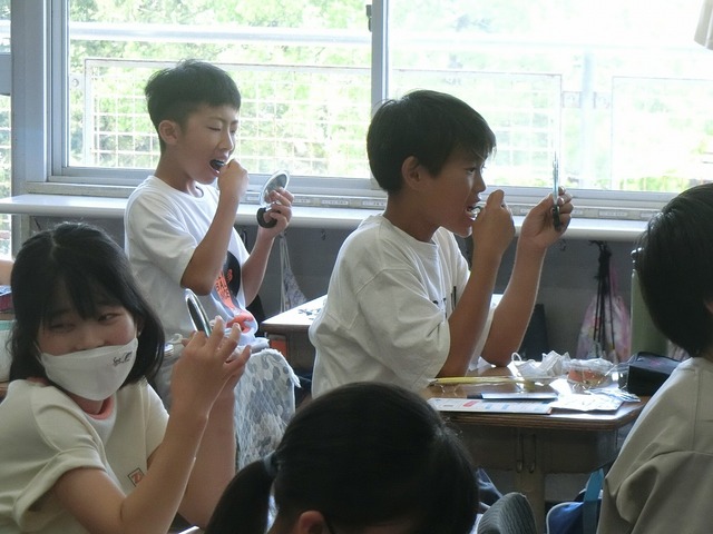 CIMG3519.jpg