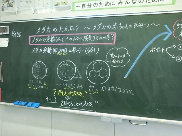 CIMG4372.jpg