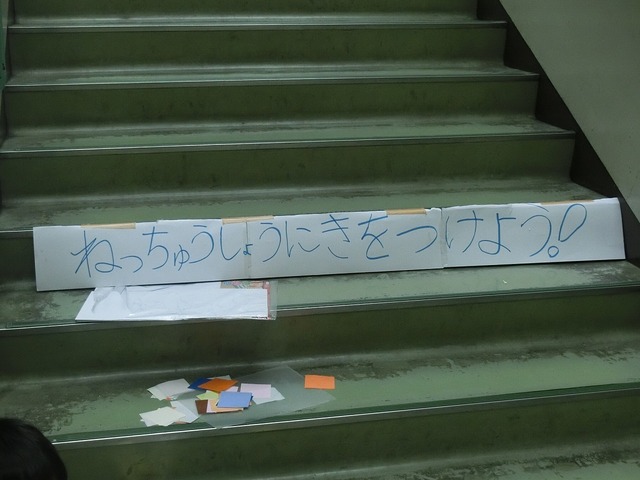 CIMG5515.jpg