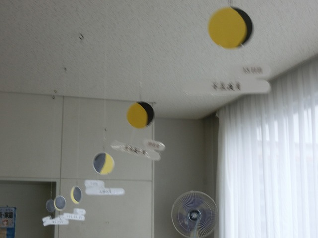 CIMG6635.jpg