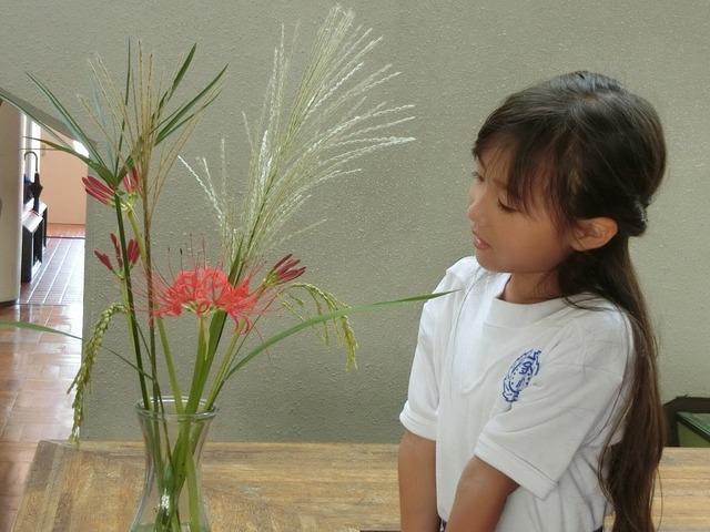 CIMG6963.jpg