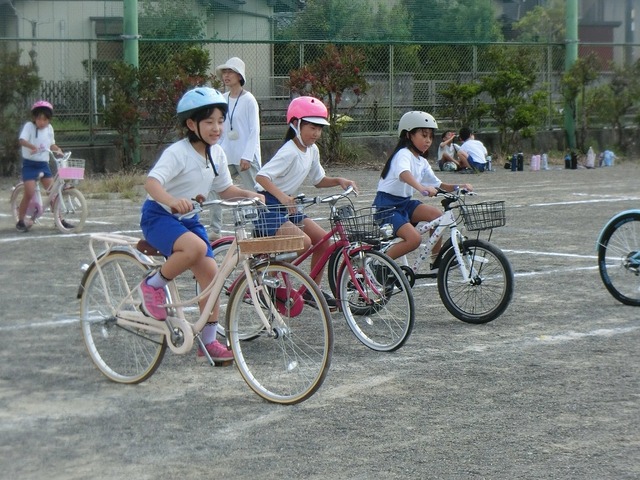CIMG7180.jpg