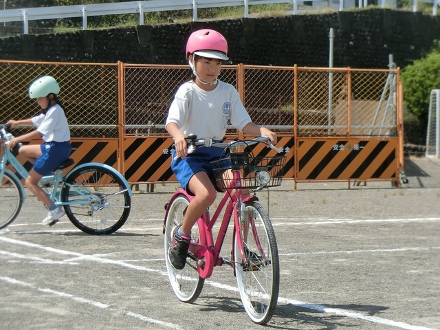CIMG7186.jpg
