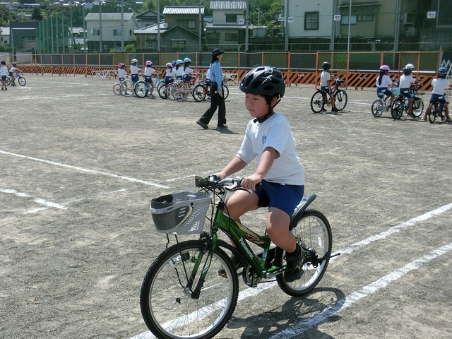 CIMG7205.jpg
