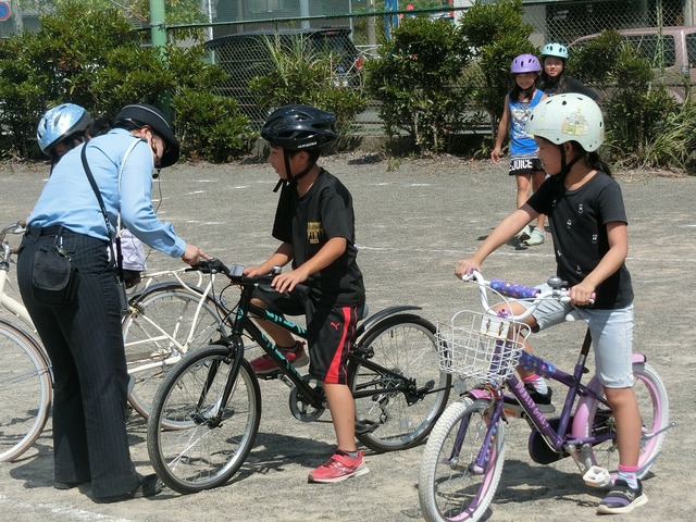CIMG7210.jpg