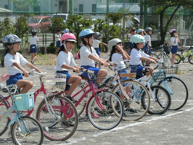 CIMG7212.jpg