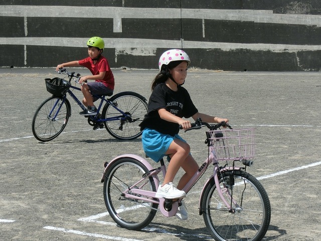 CIMG7221.jpg