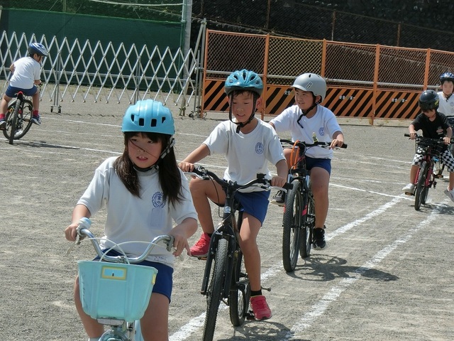 CIMG7234.jpg