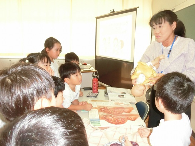 CIMG8033.jpg
