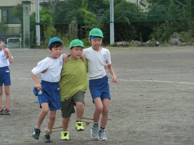 CIMG8423.jpg