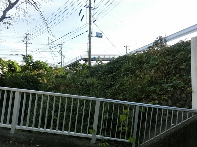 CIMG8546.jpg