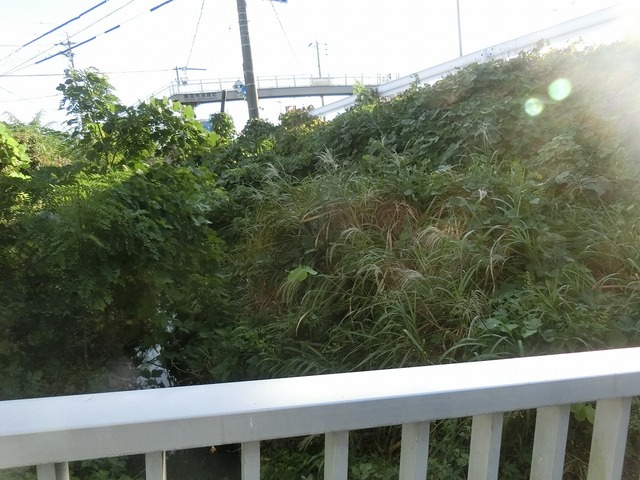 CIMG8547.jpg