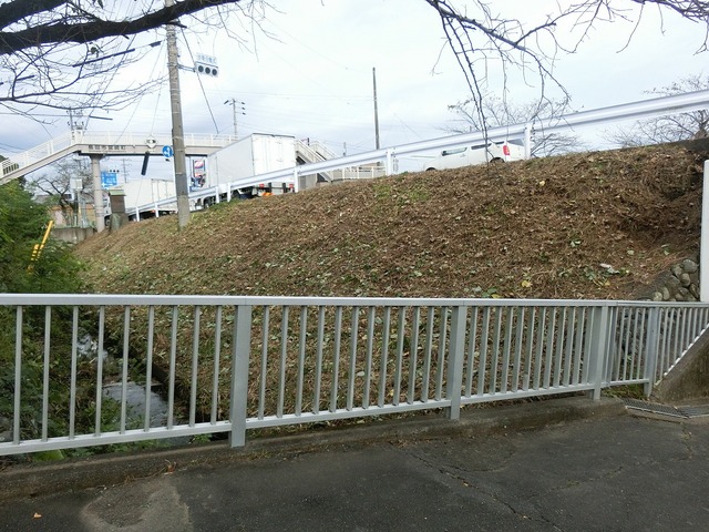 CIMG8562.jpg