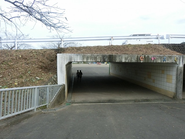 CIMG8563.jpg