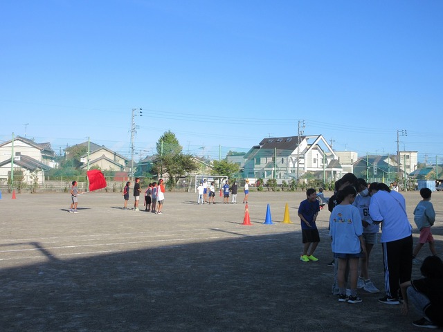 IMG_4208.jpg