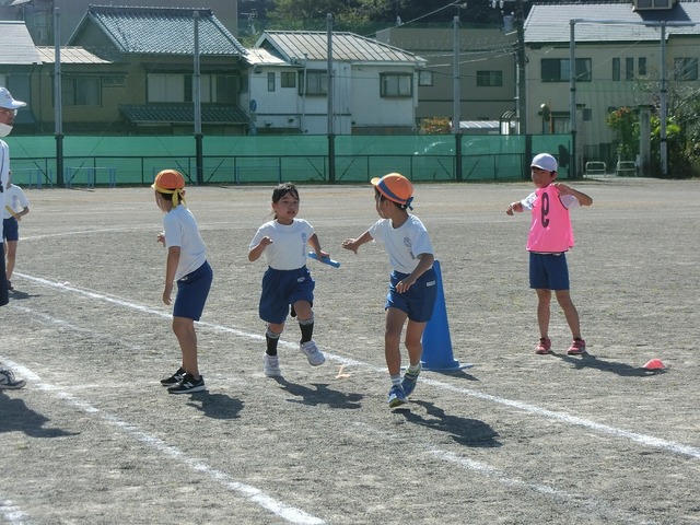 CIMG8585.jpg