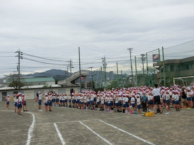 CIMG8819.jpg