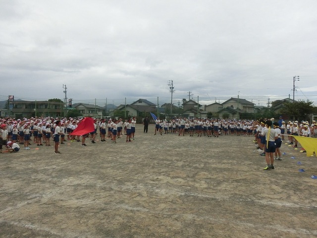 CIMG9133.jpg