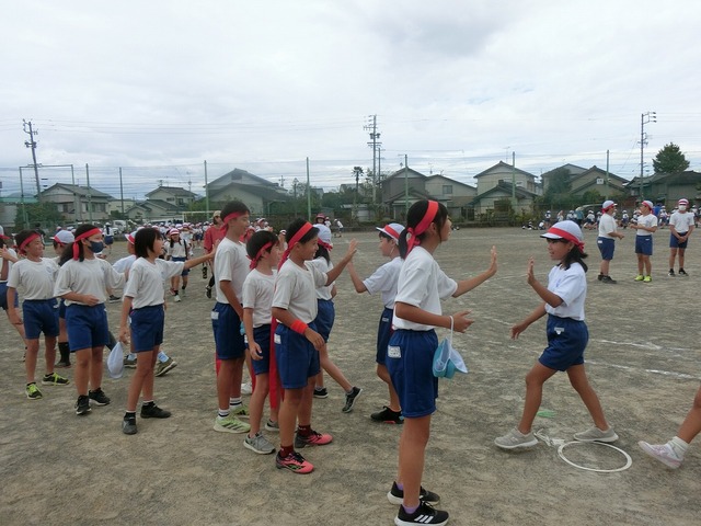 CIMG9154.jpg