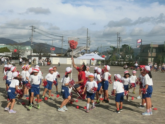 CIMG9253.jpg