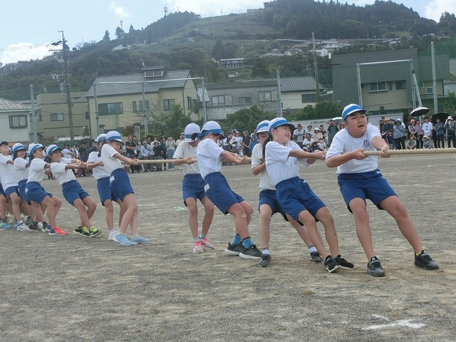 CIMG9310.jpg