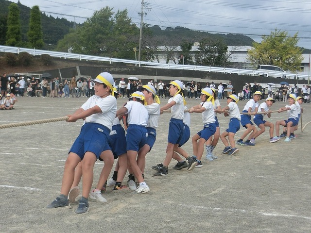 CIMG9311.jpg