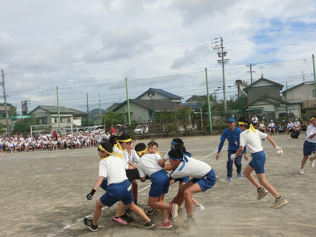 CIMG9331.jpg