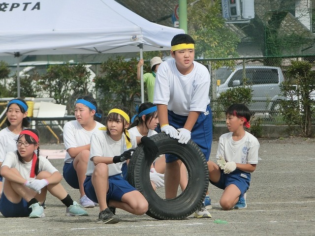 CIMG9337.jpg