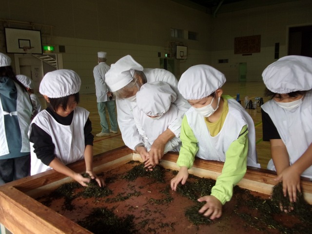 100_1907.jpg