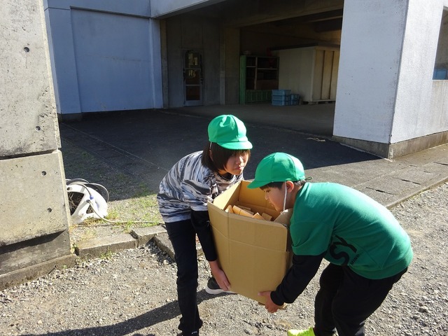 DSC09506.jpg
