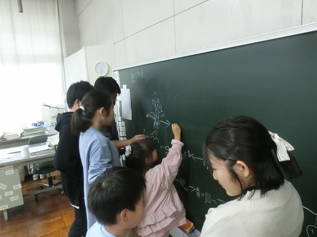 CIMG0532.jpg