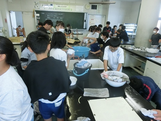 CIMG0794.jpg