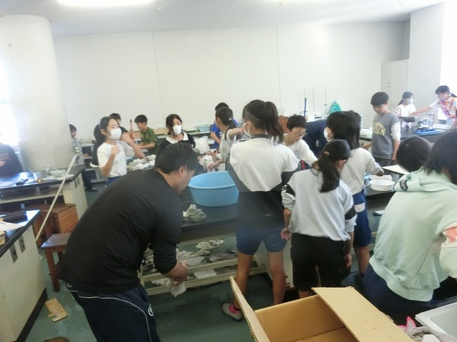 CIMG0797.jpg