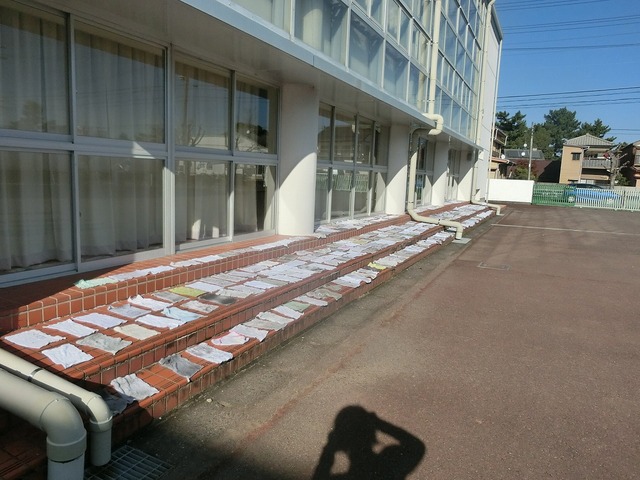 CIMG0810.jpg