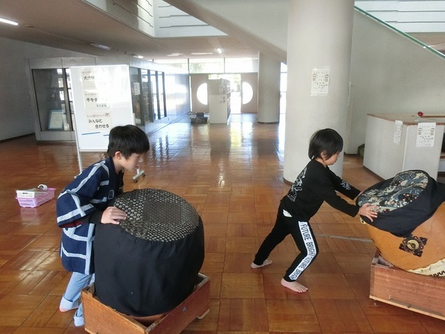 CIMG1325.jpg