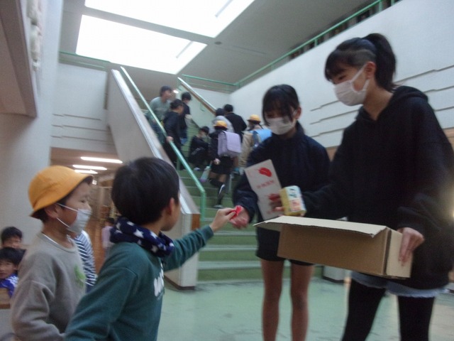 100_2540.jpg