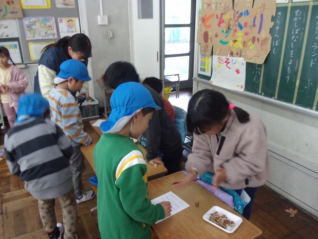 100_2613.jpg
