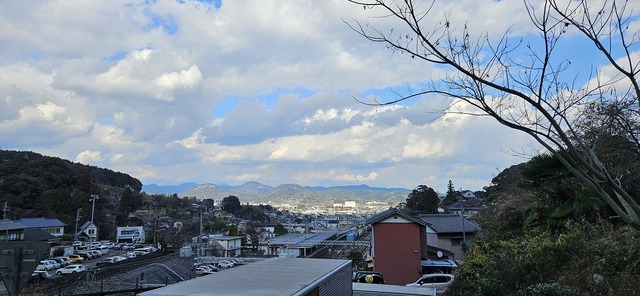 20250121_135124.jpg