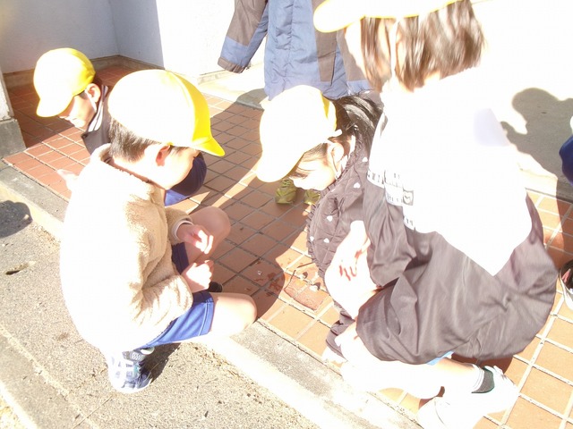106_1922.jpg