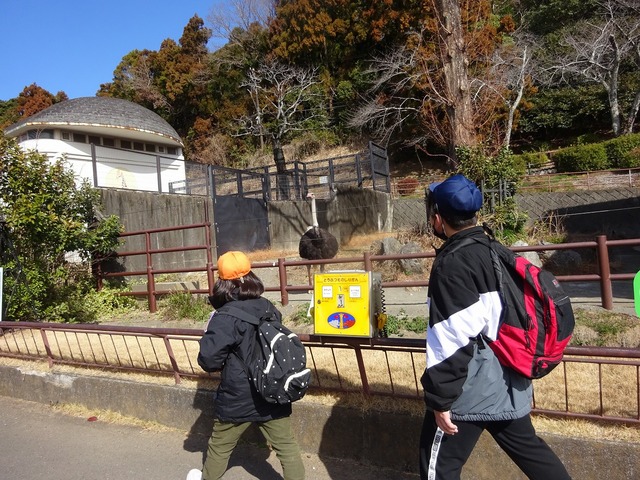 DSC00343.jpg