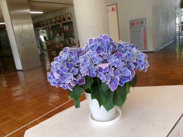 108_3953.jpg