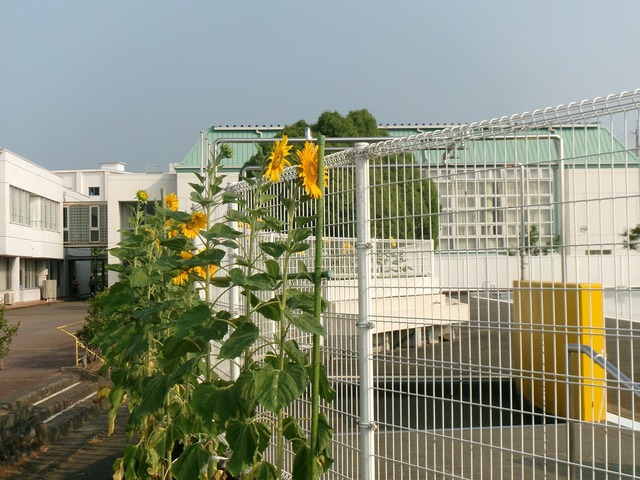 108_6490.jpg