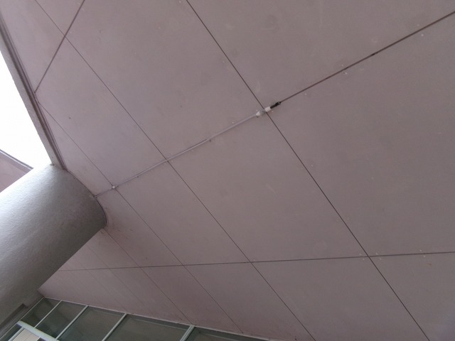 108_6575.jpg