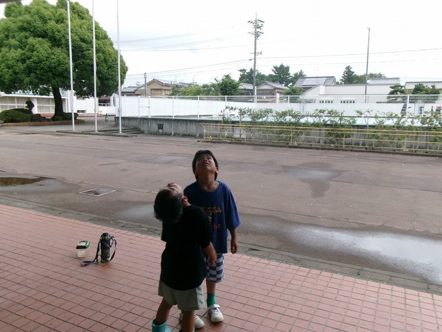 108_6595.jpg