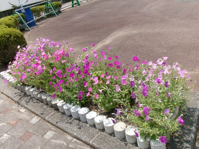 ★108_6895.JPG