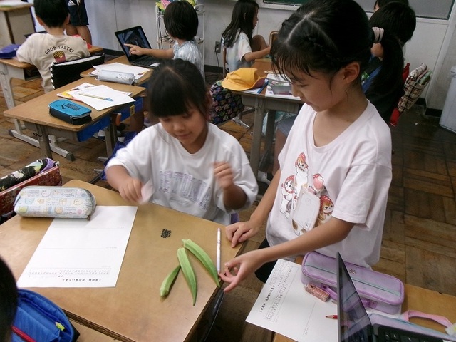 108_7000.jpg