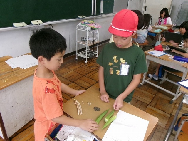 108_7014.jpg