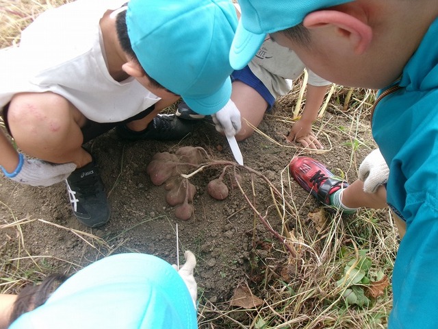 108_7887.jpg